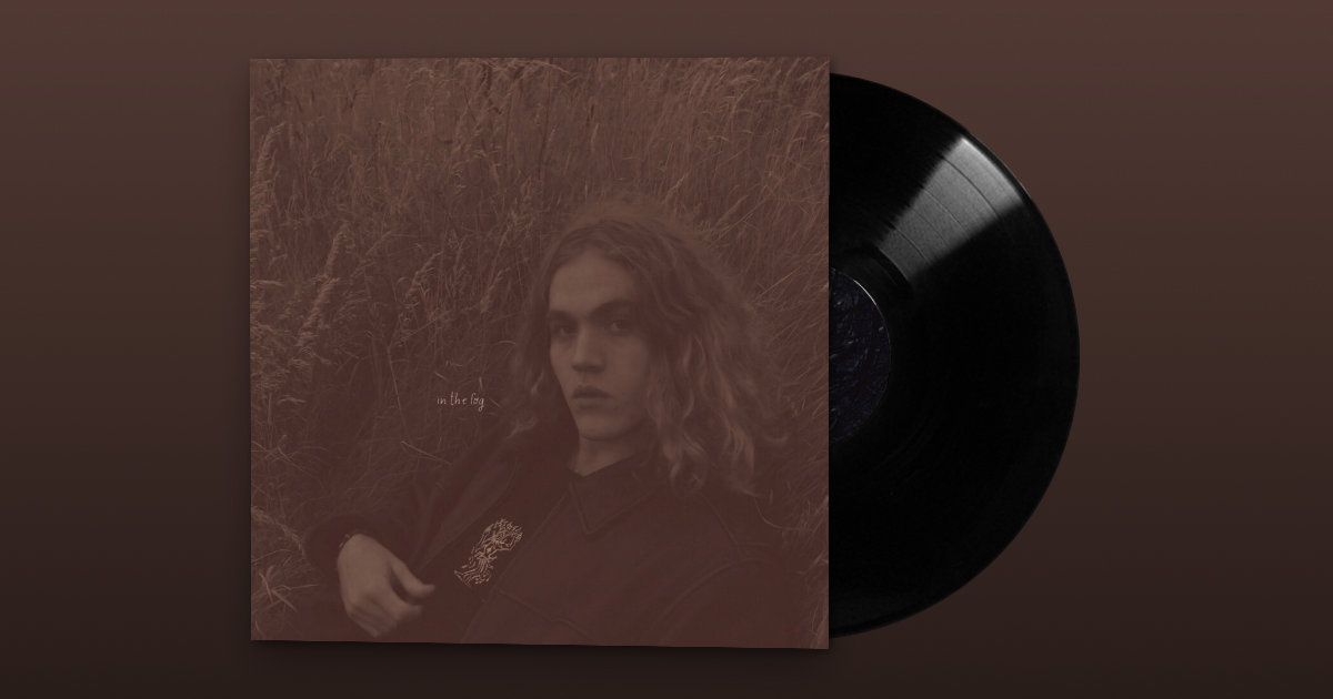 a poison tree (in the fog) Vinyl/CD - *READ DESCRIPTION TO PLACE AN ORDER*