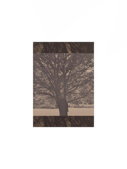 A Poison Tree Poster 7x10 7x10"